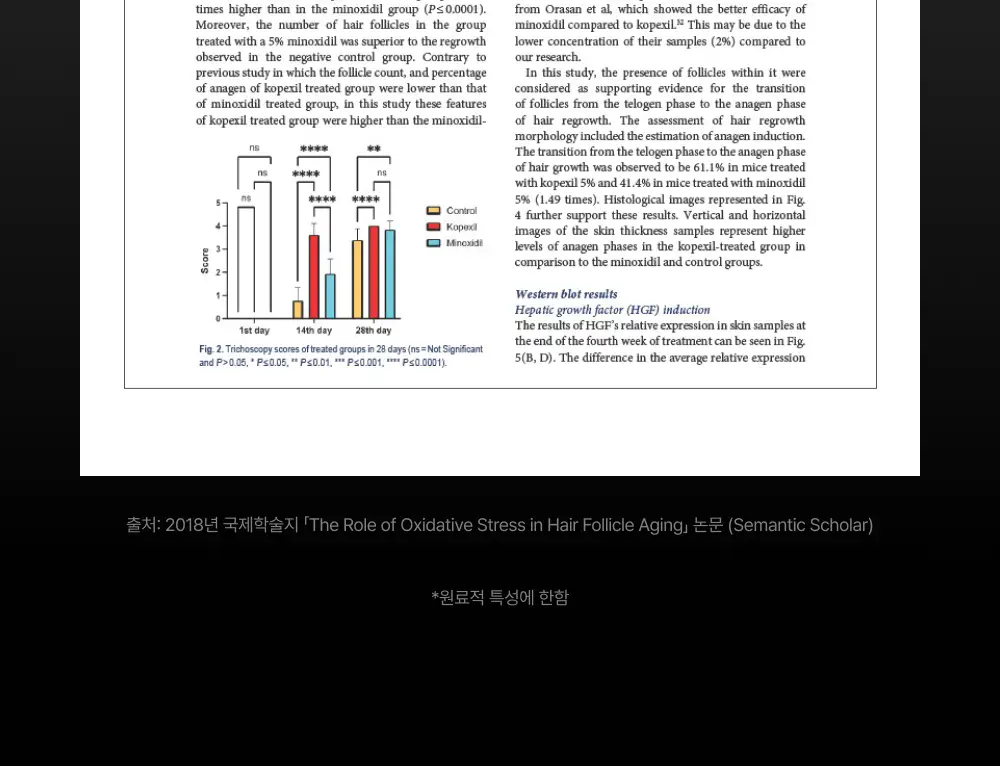 [포켓몬 에디션][50시간볼륨지속]] 릴리이브 그로우턴 3D 볼륨 샴푸 대용량 500ml (단품/기획*) 상세페이지 59